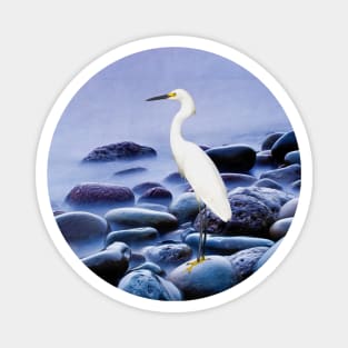 Snowy Egret on the Rocks Magnet